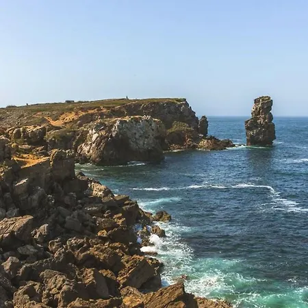 Charming In - Sea View 40 M² * Peniche